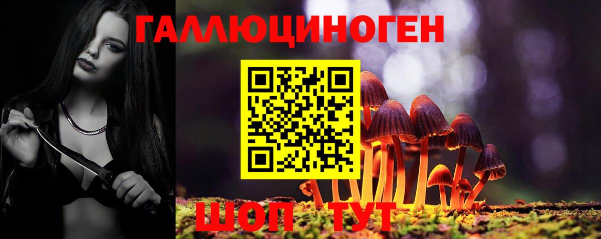 Галлюциногенные грибы GOLDEN TEACHER Кингисепп
